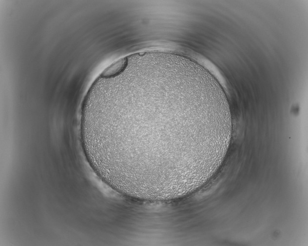 X0000091521099200709141410