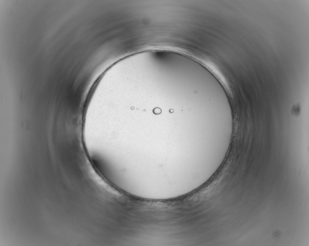 X0000091521100200709141410