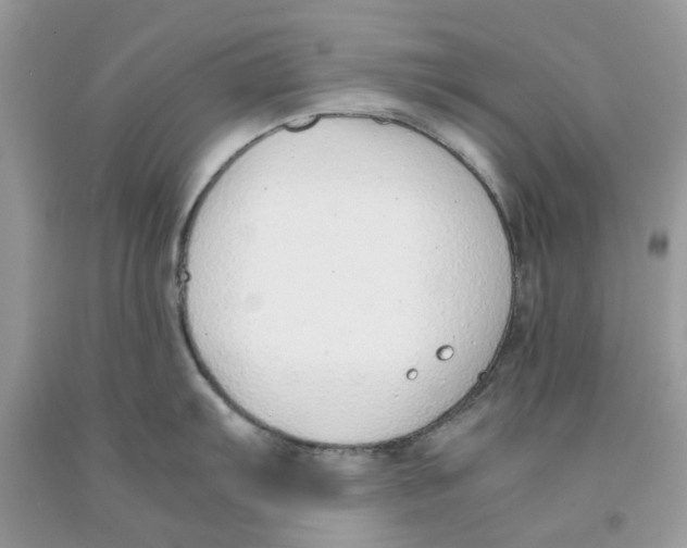 X0000091521103200709141410