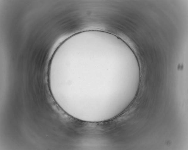 X0000091521104200709141410