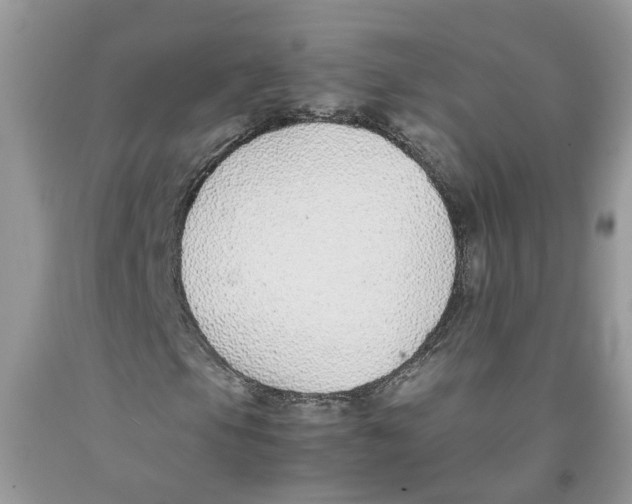 X0000091521105200709141409