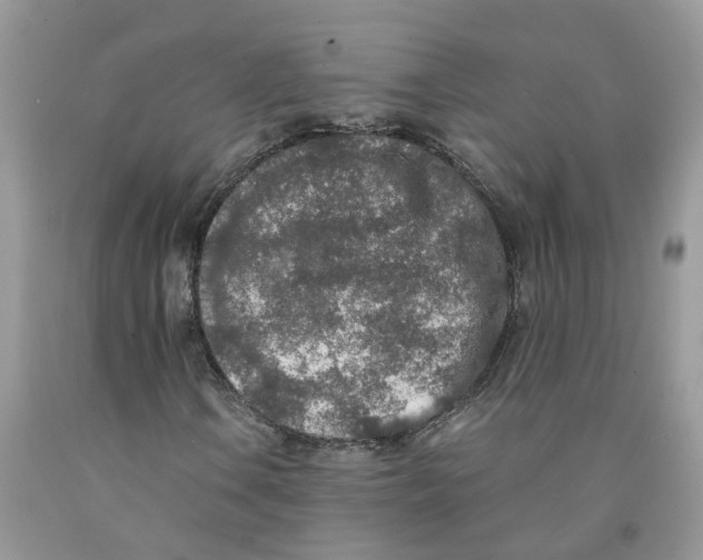 X0000091521106200709141409