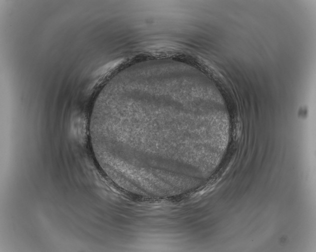 X0000091521108200709141409