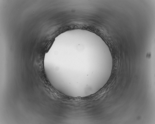 X0000091521109200709141409