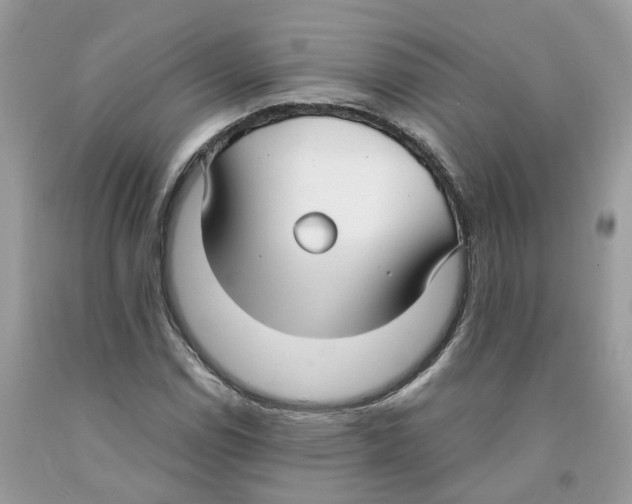 X0000091521114200709141409