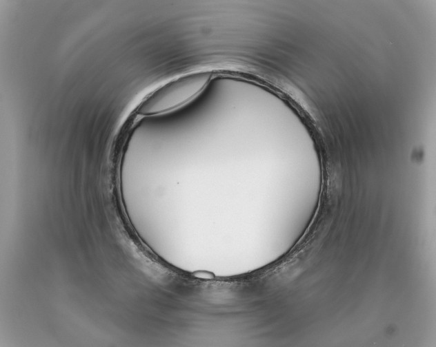 X0000091521116200709141409