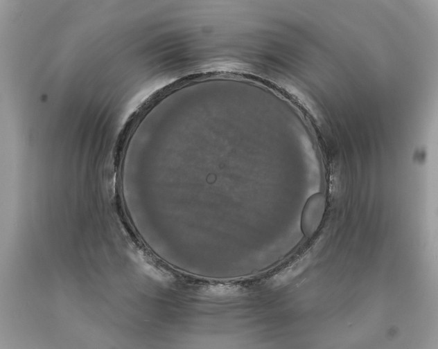 X0000091521117200709141409