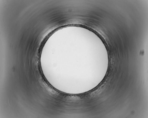 X0000091521119200709141409