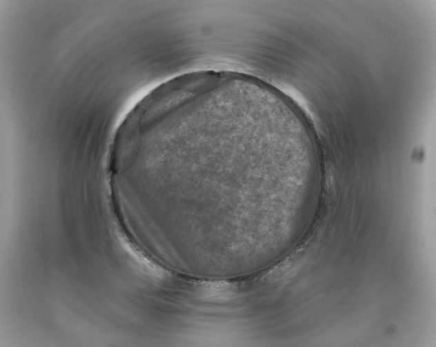 X0000091521120200709141409