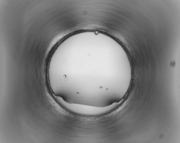 X0000091521122200709141409