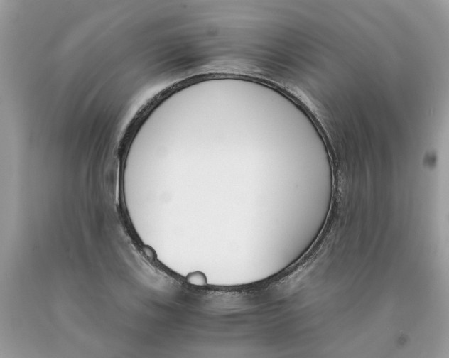 X0000091521123200709141409