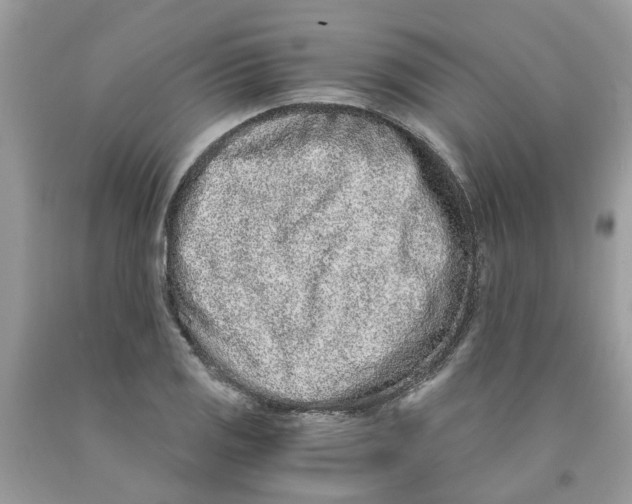 X0000091521125200709141409