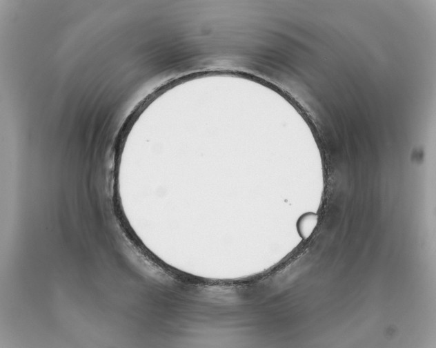 X0000091521126200709141409