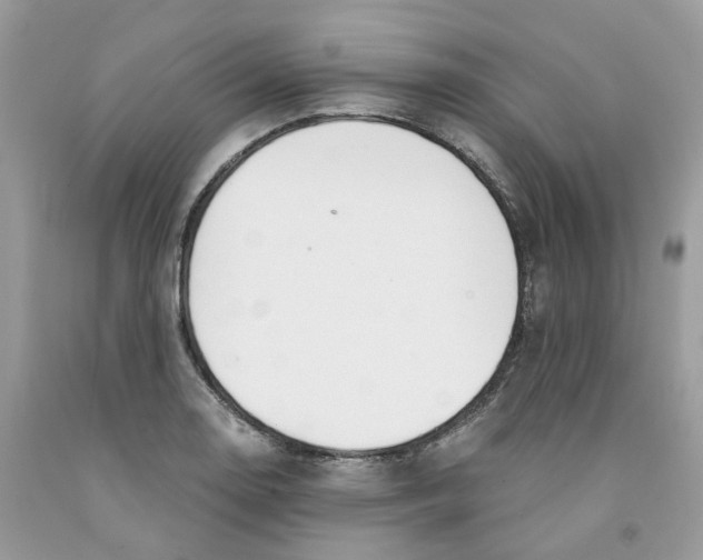 X0000091521130200709141409