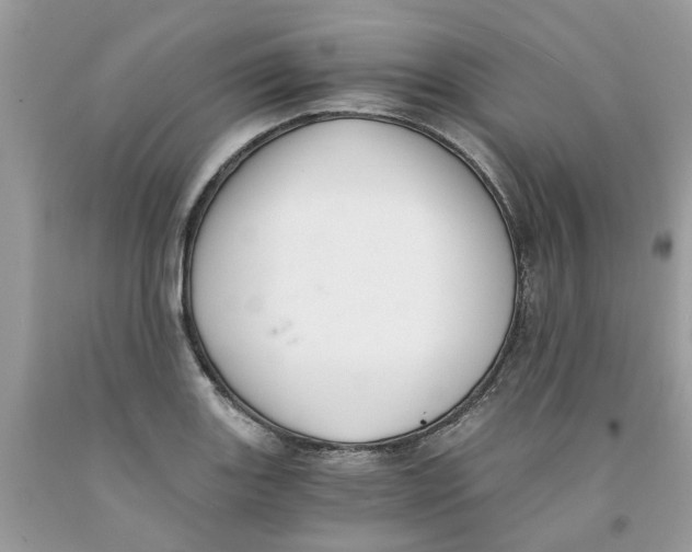 X0000091521131200709141409