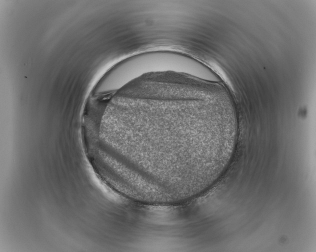 X0000091521132200709141409