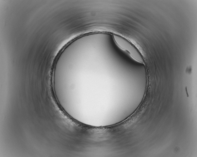 X0000091521134200709141409