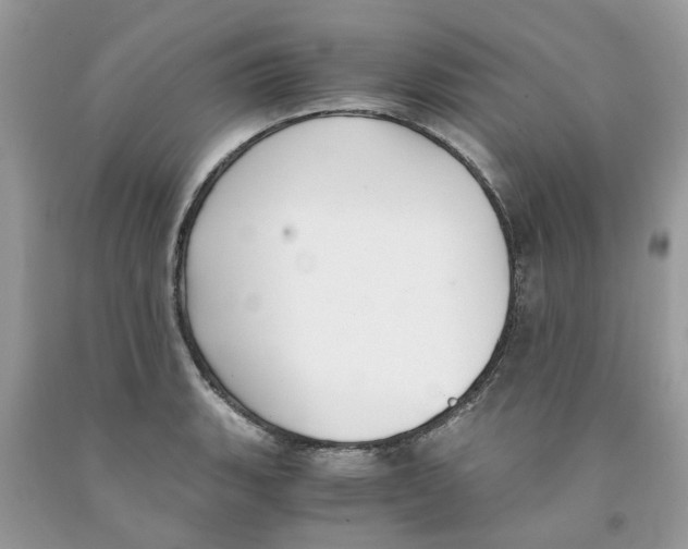 X0000091521135200709141409