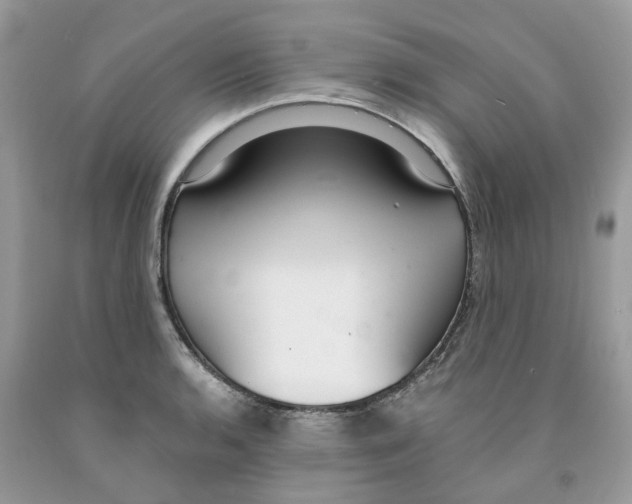 X0000091521136200709141409