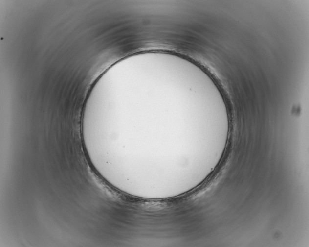 X0000091521137200709141409