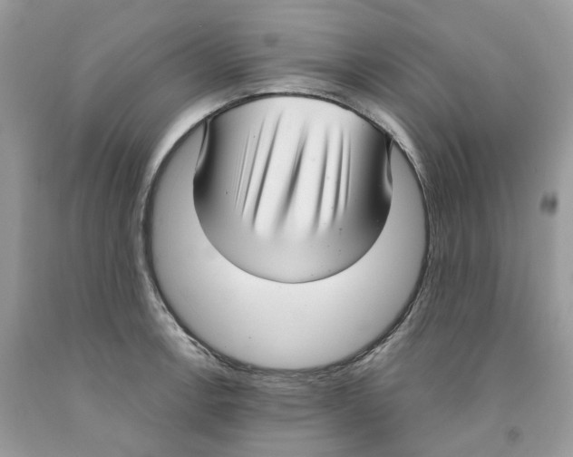 X0000091521138200709141409