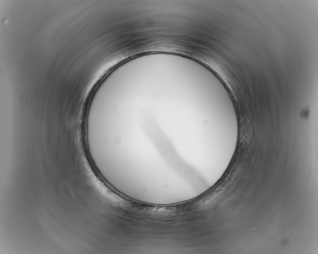 X0000091521139200709141409