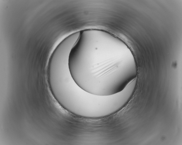 X0000091521140200709141409