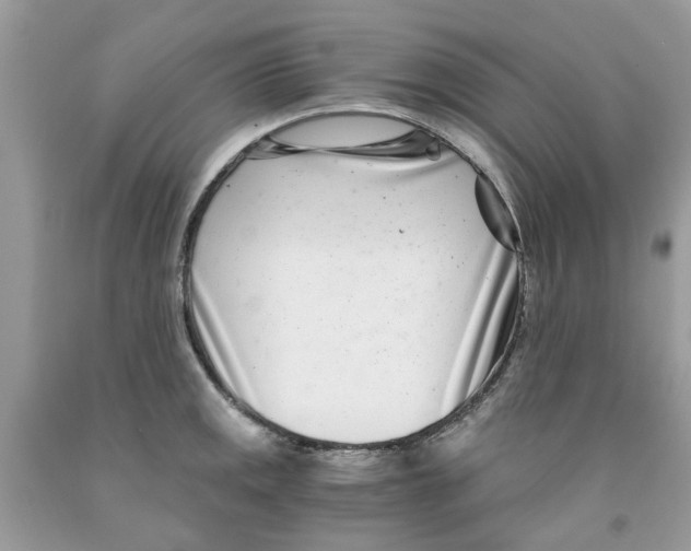 X0000091521141200709141409