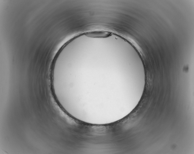 X0000091521142200709141410