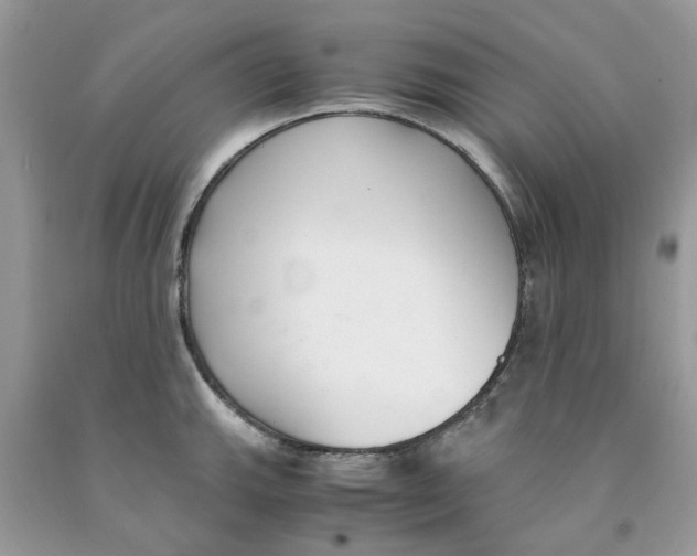 X0000091521143200709141410