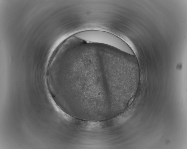 X0000091521144200709141410