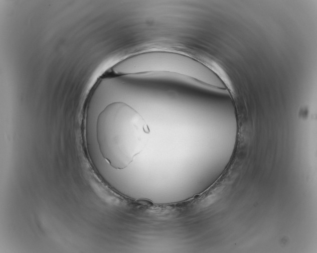 X0000091521146200709141410