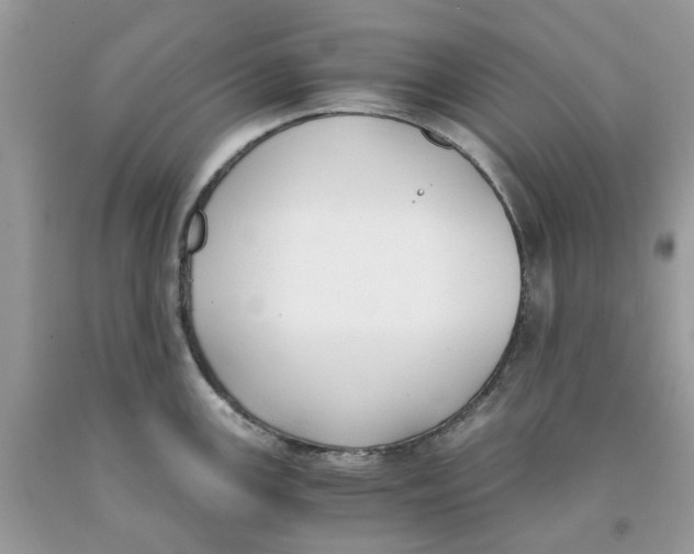 X0000091521147200709141410