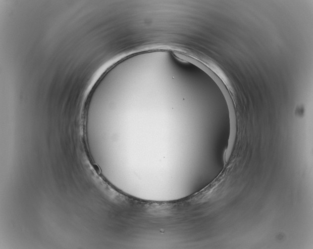 X0000091521148200709141410