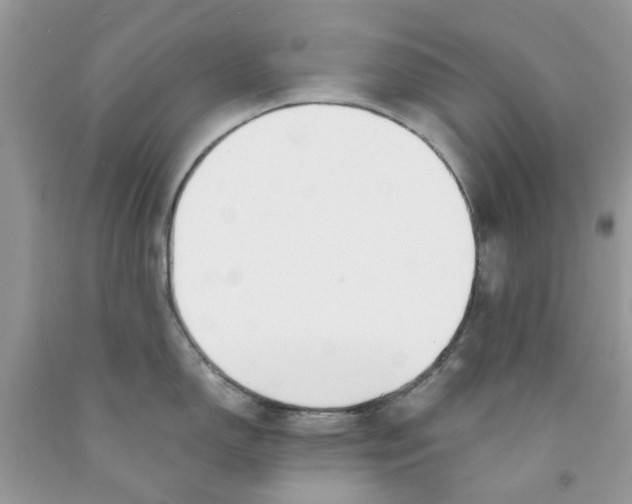 X0000091521150200709141410