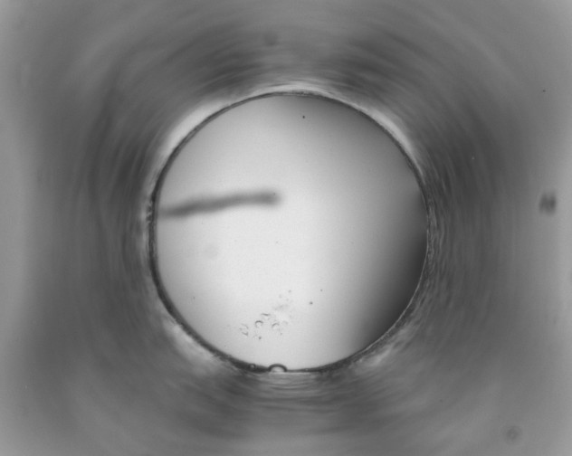 X0000091521151200709141410