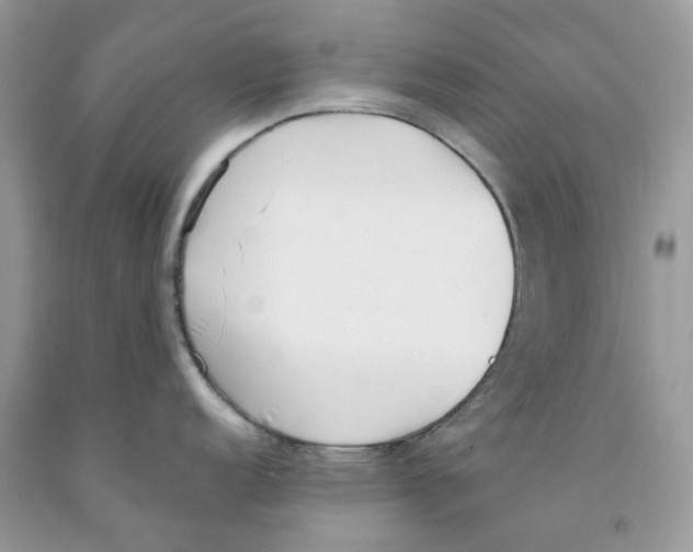 X0000091521152200709141410