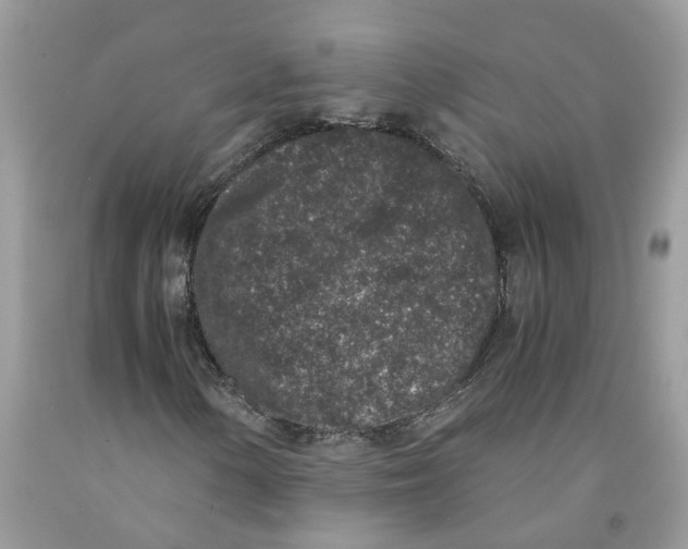 X0000091521154200709141409