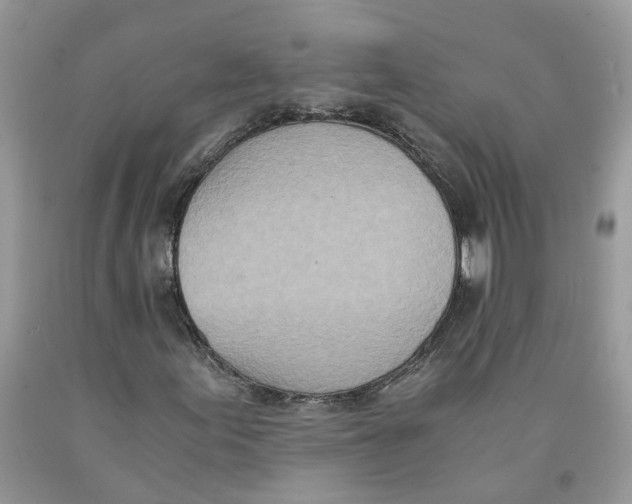 X0000091521155200709141409