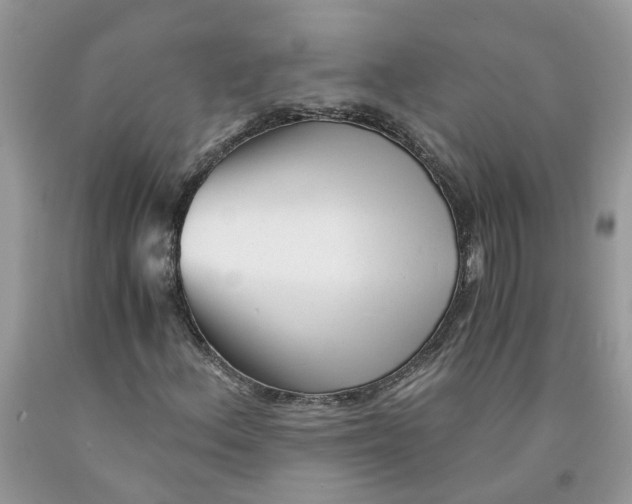 X0000091521156200709141409