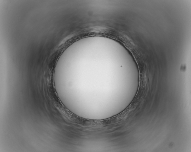 X0000091521158200709141409