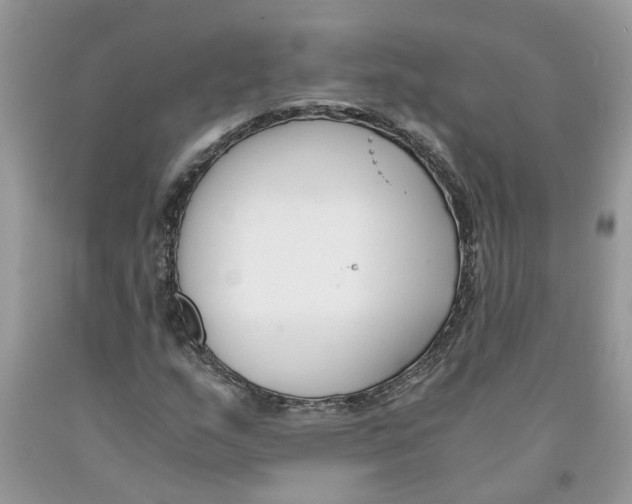 X0000091521159200709141409