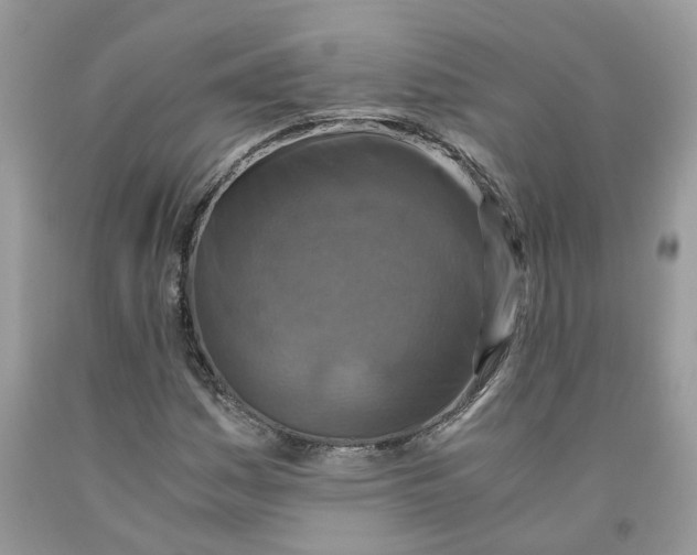 X0000091521161200709141409