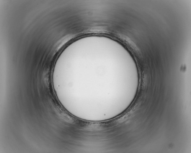 X0000091521162200709141409