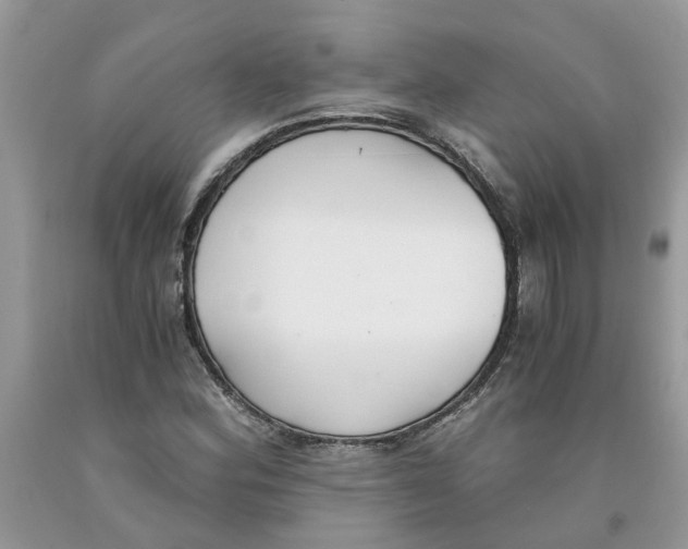 X0000091521164200709141409