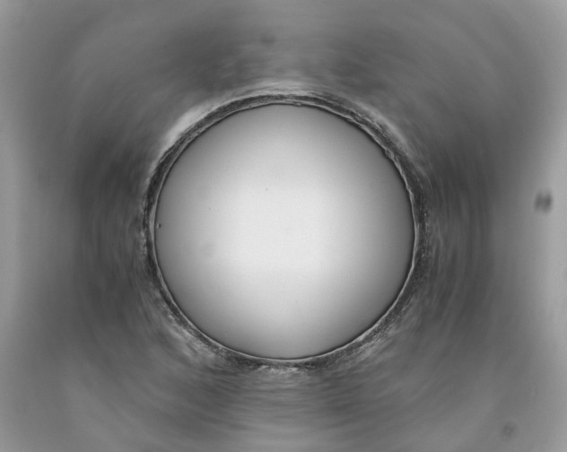 X0000091521168200709141409