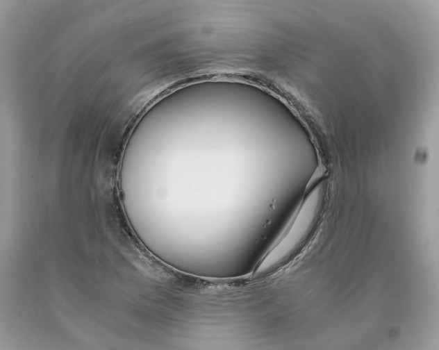 X0000091521169200709141409