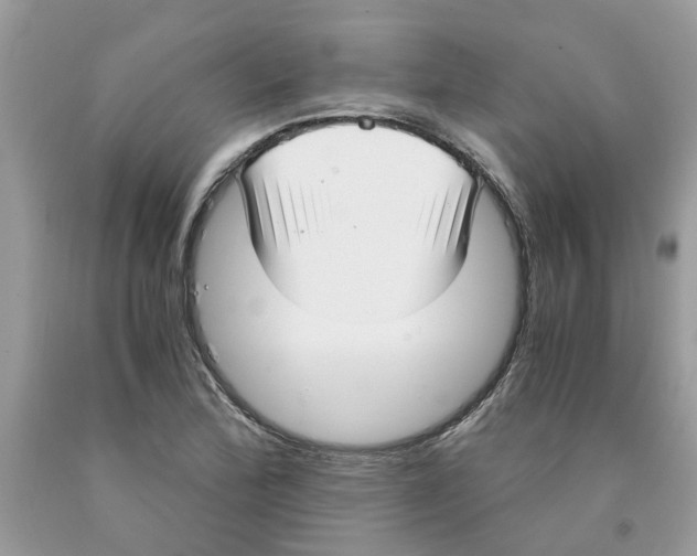 X0000091521172200709141409