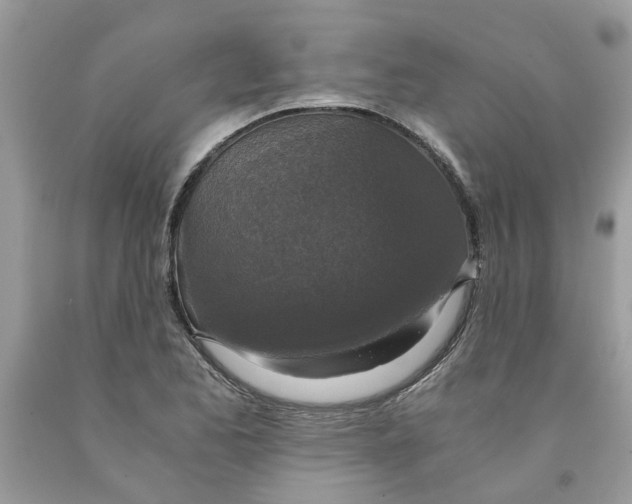 X0000091521173200709141409