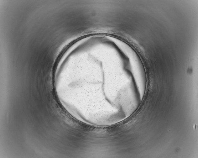 X0000091521174200709141409